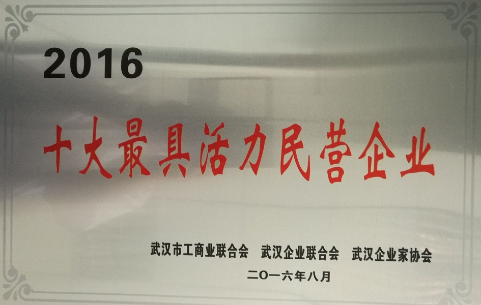 天鸣集团同时入选“武汉民营企业100强”与“武