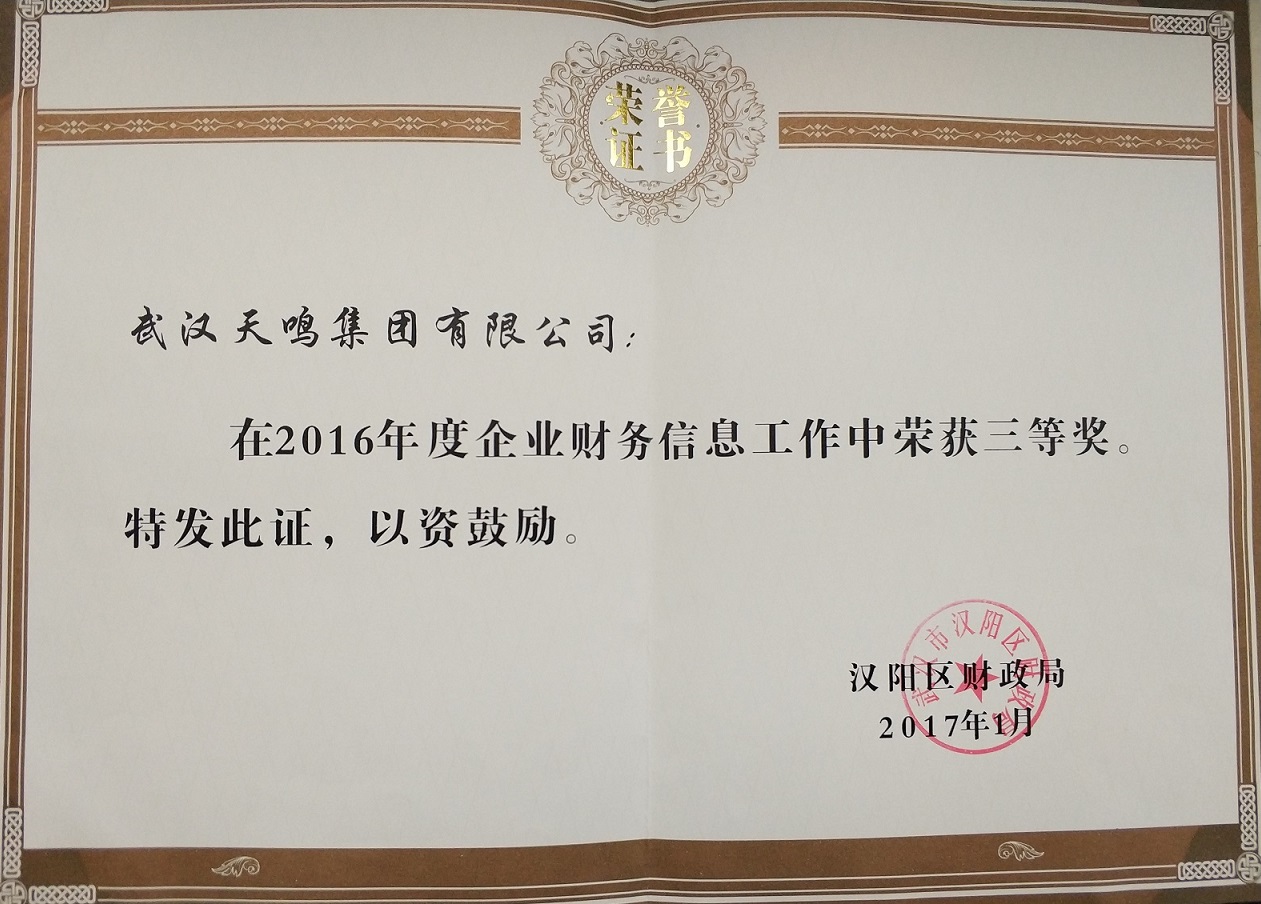 财务信息工作三等奖